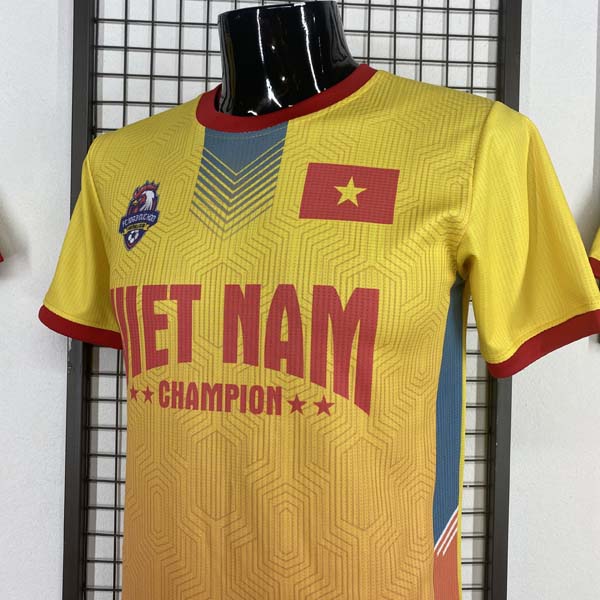 Cận cảnh logo đội tuyển Việt Nam 